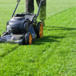 Grass Cutting: The Ultimate Guide to Maintaining a Healthy and Beautiful Lawn