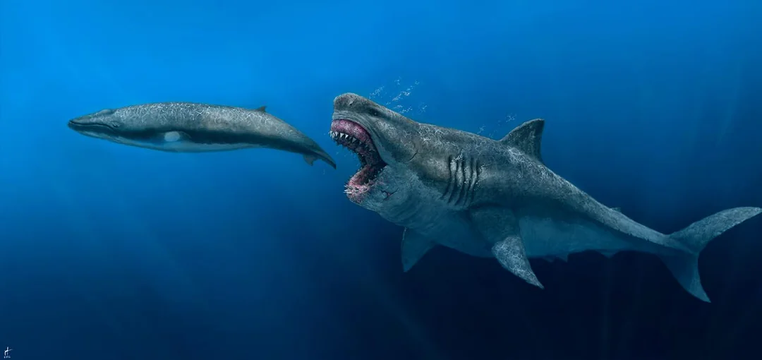Megalodon vs Blue Whale: The Ultimate Ocean Giant Showdown